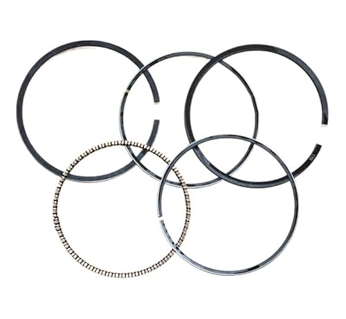 ANYHUG Kolbenring 68,3 mm (dicker Ölring im alten Stil) für Briggs; für Stratton 6,0 PS 6,5 PS Motorersatz austauschbar von ANYHUG
