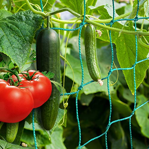 ANYUNKEY Premium Ranknetz mit großer Maschenweite für besonders ertragreiche Ernte von Gurken, Tomaten und Kletterpflanzen Das Optimale Rankhilfe Netz für Garten, mit Pflanzenclips Set(2 X 2.5 Meter) von ANYUNKEY