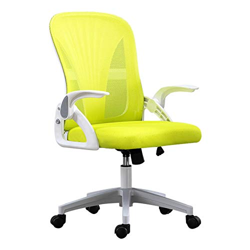 ANram Stuhl Chefdrehstuhl, Verstellbarer ergonomischer Arbeitsstuhl, um 360 Grad drehbarer Computer-Schreibtischstuhl, einfache Montage (Farbe: Grün) von ANram