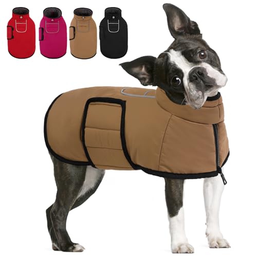 AOFITEE Kleiner Hundemantel, Warme Hundewinterjacke für Extra Kleine Hunde, Reflektierende Rollkragen-Hundeweste mit Integriertem Geschirr,wasserdichte Hundeschneejacke AOFITEE Kleiner Hundemantel, Warme Hundewinterjacke für Extra Kleine Hunde, Reflektierende Rollkragen-Hundeweste mit Integriertem Geschirr,wasserdichte Hundeschneejacke von AOFITEE
