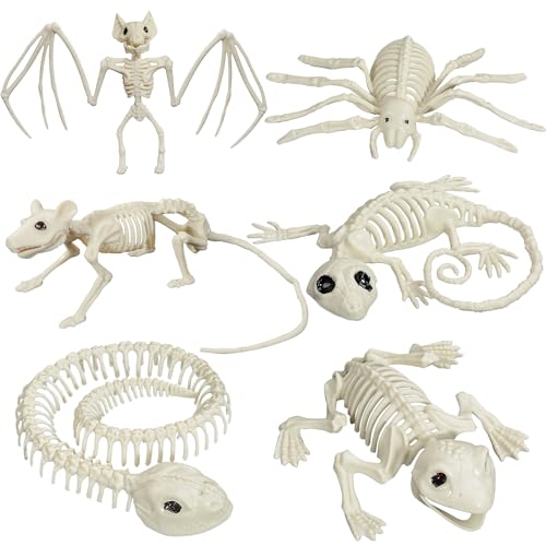 AOFOX Halloween Tier Skelette, 6-Stücke Skelett Tier Hof Fall Dekor Tiere Friedhof Requisite für Spukhaus Halloween Party Dekor (Weiß-6pcs) von AOFOX