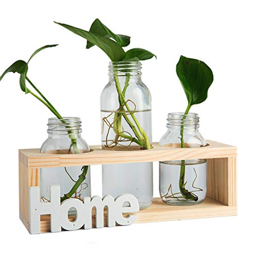 Glaszylinder-Vasen, Desktop-Glaspflanzgefäß-Lampenvase mit Retro-Massivholzständer, 3er-Set Dekoratives Herzstück für Hydrokulturpflanzen Hausgarten-Hochzeitsdekor, HOME von AOFOX