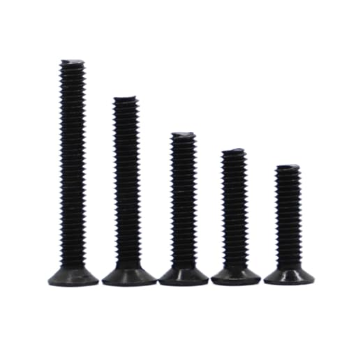 10/20 Stück M2.5 M3 M4 M5 Schwarze Flachkopfschraube Mini Micro Computer Kleine Kreuzschraube Notebookschrauben(30mm,M5 10pcs) von AOIMBNQC