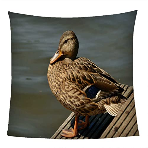 AOKLEY Kuscheldecken Grautier Ente Decke für Schlafzimmer, Sofa, 3D-Digitaldruck Kuscheldecke, Flanelldecke, Weich Wohndecke, Sofadecke Zweiseitige Decke 80x100cm von AOKLEY