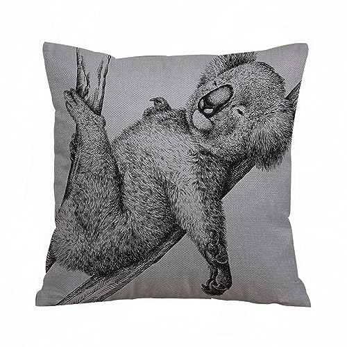 Kissenbezügen 40x 40 cm Koala-Tier-Australien-wild lebende Tiere Schöner schlafender Koala auf dem AST Dekorationskissenbezüge quadratisch weich Bauernhaus Kissenbezüge für Couch Sofa Bett Auto. von AOKLEY