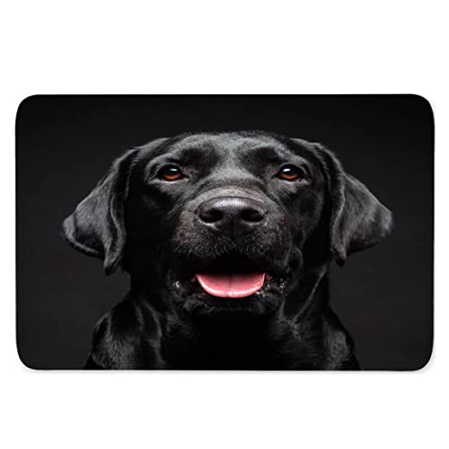 AOLIGL 3D Print Fußmatte Labrador Fussmatte Bodenmatte Aussenbereich und Innenbereich Tür-Matte Tierhund, Schwarz Waschbar Polyester Flanell Badematte Kinderzimmer Fußabtreter 40x60 cm von AOLIGL