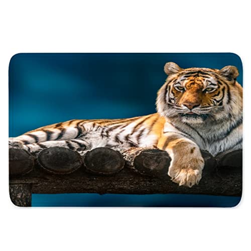 AOLIGL 3D Print Fußmatte Sibirischer Tiger Fussmatte Bodenmatte Aussenbereich und Innenbereich Tür-Matte Wilde Tiere Waschbar Polyester Flanell Badematte Kinderzimmer Fußabtreter 40x60 cm von AOLIGL