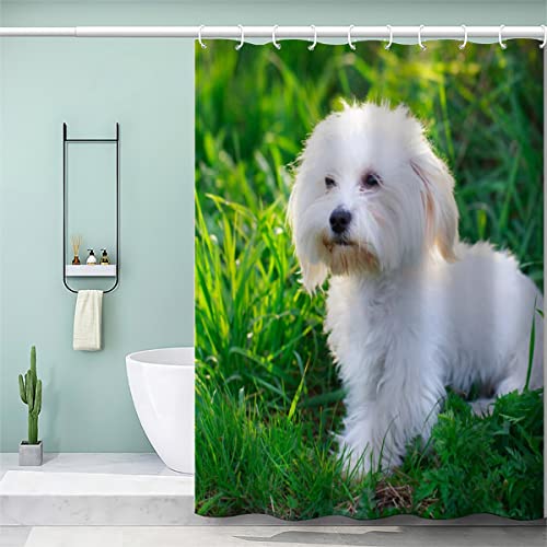 AOLIGL Duschvorhang 120x180 cm Weißer Hund, Malteser Hund Duschvorhang Anti-schimmel Wasserdicht Badvorhang mit 12 Duschvorhängeringen Persönlichkeit Duschvorhang mit Gewicht Magnet von AOLIGL