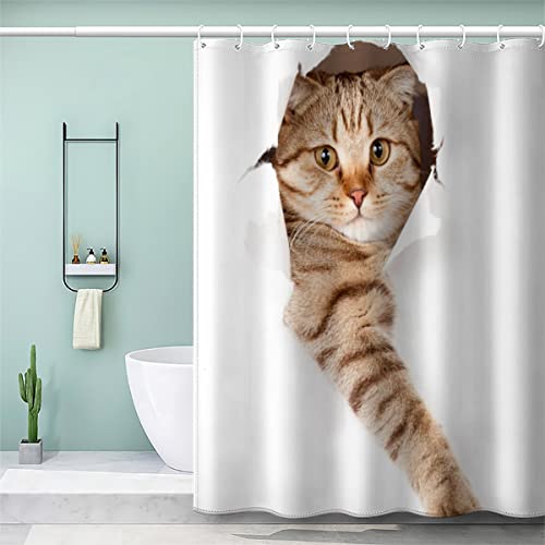 AOLIGL Duschvorhang 180x180 cm 3D Lustig Duschvorhang Lustige Katze Badezimmer Vorhänge mit 12 Ring, Weiß Duschvorhang fuir Badewanne Schwer Stoff Polyester Anti-schimmel von AOLIGL