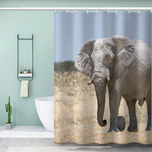 AOLIGL Duschvorhang 180x200 cm Natur Tiere Elefanten Duschvorhang with 12 Hooks Duschvorhang Textil Weiß Schwarz Grau Grün Blau Badezimmer Vorhänge Hohe Qualität von AOLIGL