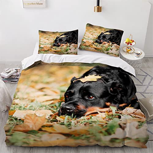 AOLIGL Hund-Motiv Bettwäsche 155x220cm Rottweiler Bettwäsche-Set Goldene BläTter Mikrofaser Betten Set,Hund Haustier Bettbezug Schöne Tiere,Kissenbezug 80 x 80cm, Jugendliche Bettwäsche von AOLIGL