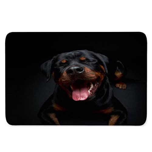 AOLIGL Rottweiler Fussmatte Außen 3D-Druck Tierhund, Schwarz Türmatte rutschfest Personalisiert Fußmatte Innen Flanell Teppich Bodenmatte für Flur Haustreppe Schmutzfangmatte 60x90 cm von AOLIGL