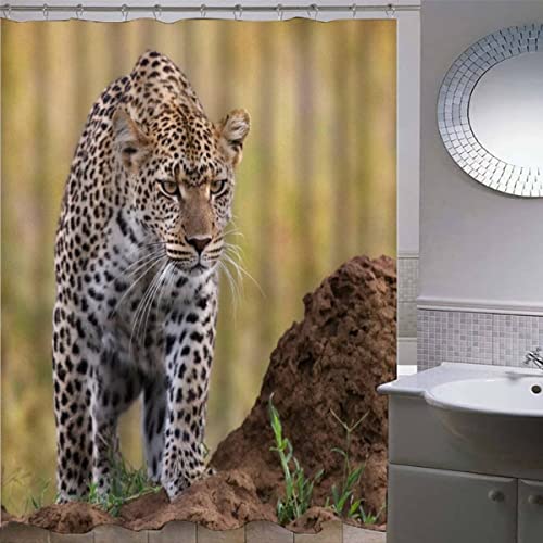 Duschvorhang 180x200 cm Leopard Duschvorhang with 12 Hooks Duschvorhang Textil Weiß Schwarz Grau Grün Blau Leopard Auf Der Prärie Badezimmer Vorhänge Hohe Qualität von AOLIGL