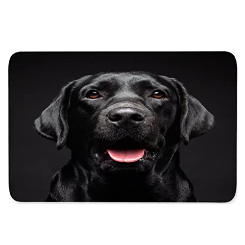 AOLIGL Labrador Fussmatte Außen 3D-Druck Tierhund, Schwarz Türmatte rutschfest Personalisiert Fußmatte Innen Flanell Teppich Bodenmatte für Flur Haustreppe Schmutzfangmatte 60x90 cm von AOLIGL