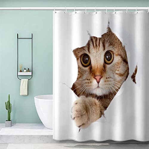 AOLIGL Lustige Katze Duschvorhang 120x180 cm Kinder Tier Duschvorhang Anti-schimmel Wasserdicht Badvorhang mit 12 Duschvorhängeringen Persönlichkeit Duschvorhang mit Gewicht Magnet von AOLIGL