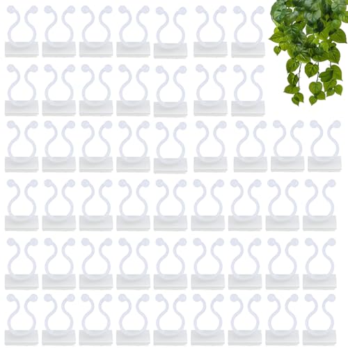 50 Stück Pflanzenclips Für Kletterpflanzen,Pflanzenclips Wand,Pflanzenhalter Wand,Pflanzen Wandhalterung,Rankhilfe Wand,Pflanzenhalter Wand Selbstklebende,Für Pflanzen Sicherung Unterstützt (Grün) 50 Stück Pflanzenclips Für Kletterpflanzen,Pflanzenclips Wand,Pflanzenhalter Wand,Pflanzen Wandhalterung,Rankhilfe Wand,Pflanzenhalter Wand Selbstklebende,Für Pflanzen Sicherung Unterstützt (Grün) von AONAYO