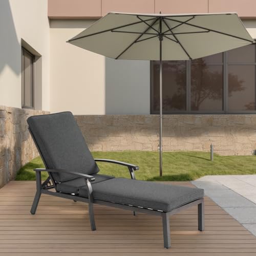 AONEGOLD Lounge Patio Chair with Cotton Cushion, Adjustable Reclining Rust-Resistant Aluminum Poolside Chaise Lounge Furniture, Waterproof Grey Cushion (1pc) von AONEGOLD
