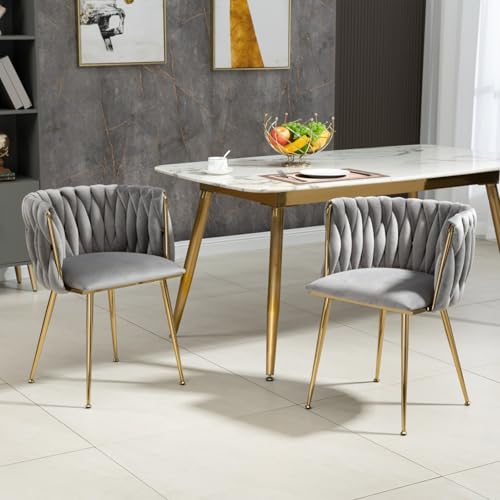 AONETIGER Modernes luxuriöses Samt-Esszimmerstuhl-Set, elegantem handgewebtem Design und weichen Kissen für Esszimmer, Wohnzimmer und Schlafzimmer (2er-Set) (Gray + Velvet + Foam,Kleine) von AONETIGER