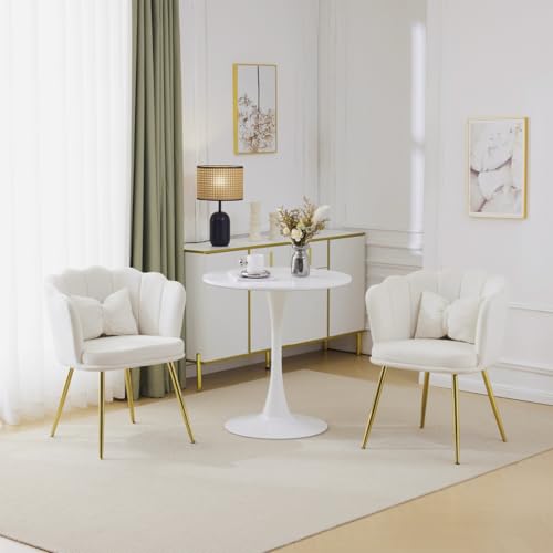AONETIGER Wohnzimmersessel aus Samt, Badewannenstuhl, bequemer, vergoldeten Metallbeinen und Schmetterlingskissen für Schlafzimmer/Esszim (Beige + Velvet-1) von AONETIGER