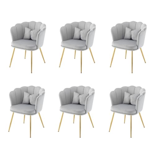 AONETIGER Wohnzimmersessel aus Samt, Badewannenstuhl, bequemer, vergoldeten Metallbeinen und Schmetterlingskissen für Schlafzimmer/Esszim (Grey + Velvet-2) von AONETIGER