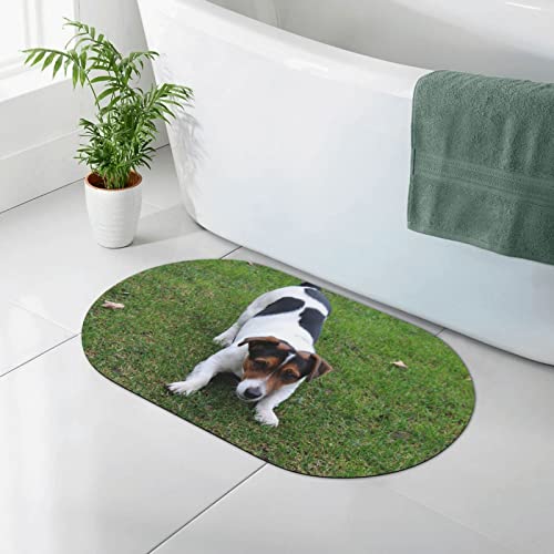 AOOEDM Kieselgur-Matte mit Aufdruck „Hunde Spielen auf dem Rasen, Kieselgur-Duschmatte, schnell trocknende, rutschfeste Badematte, 19,7 x 31,5 Zoll von AOOEDM