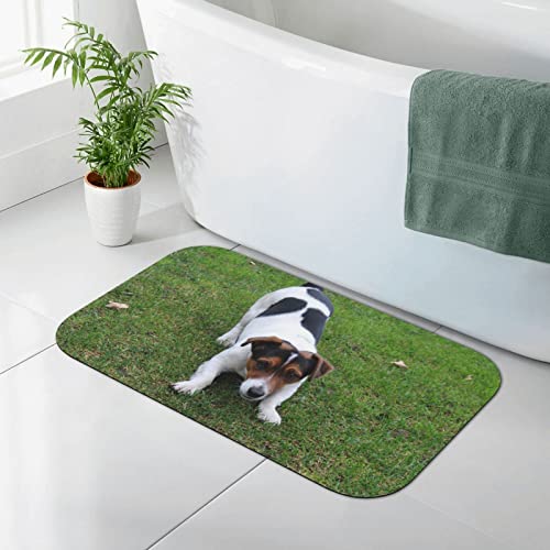 AOOEDM Kieselgur-Matte mit Aufdruck „Hunde Spielen auf dem Rasen, Kieselgur-Duschmatte, schnell trocknende, rutschfeste Badematte, 19,7 x 31,5 Zoll AOOEDM Kieselgur-Matte mit Aufdruck „Hunde Spielen auf dem Rasen, Kieselgur-Duschmatte, schnell trocknende, rutschfeste Badematte, 19,7 x 31,5 Zoll von AOOEDM