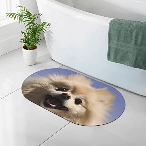 AOOEDM Kieselgur-Vorleger mit niedlichem Pomeranian-Aufdruck, Kieselgur-Duschvorleger, schnell trocknende, rutschfeste Badematte, 19,7 x 31,5 Zoll AOOEDM Kieselgur-Vorleger mit niedlichem Pomeranian-Aufdruck, Kieselgur-Duschvorleger, schnell trocknende, rutschfeste Badematte, 19,7 x 31,5 Zoll von AOOEDM