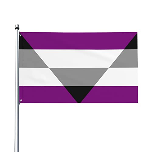 Aegosexual Autochorissexual Akiosexual Pride Flag Flagge 91 x 152 cm – UV-beständig – Garten-Flagge im Freien mit Ösen von AOOEDM