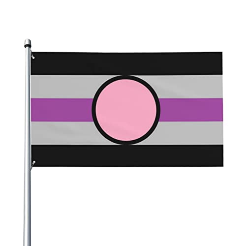 Aspec Fictosexual Fictonsexual Pride Flag Flagge 9,1 x 1,5 m UV-beständig, langlebig, hochwertige Dekoration, Hof, Innengarten, Banner von AOOEDM