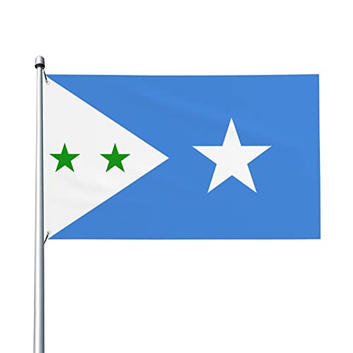 Flagge von Galmudug Flagge 3 x 5 Fuß Terrasse Garten Rasen Willkommen Dekoration Banner Indoor Home Party Flaggen von AOOEDM