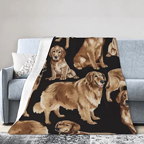 Mädchen Jungen Golden Retriever Reise-Überwurfdecke Neuartige Plüsch-Überwurfdecken Warme Reise-Überwurfdecke Perfekt für Herbst, Winter und Frühling Mädchen Jungen Golden Retriever Reise-Überwurfdecke Neuartige Plüsch-Überwurfdecken Warme Reise-Überwurfdecke Perfekt für Herbst, Winter und Frühling von AOOEDM
