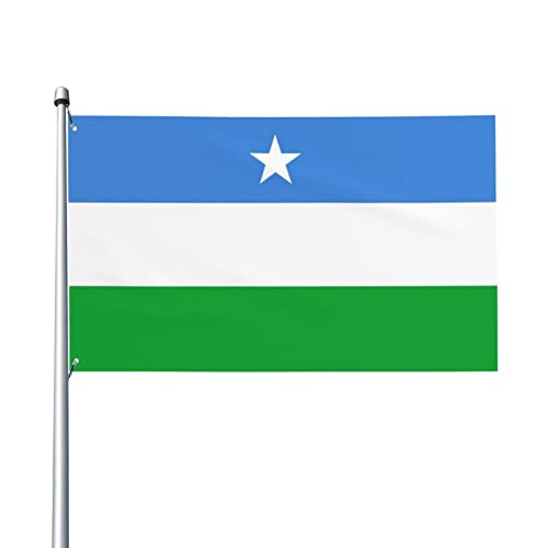 Puntland-Flagge des Staates Somalia, 90 x 150 cm, UV-beständig, langlebig, hochwertige Dekoration, Banner für Hof und Innengarten von AOOEDM