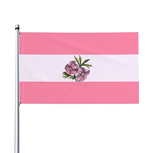 Sapphic Pride Flag LGBTQ Flag 3X5 Ft – UV-beständig – Garten Yard Flag Outdoor Flag mit Ösen Sapphic Pride Flag LGBTQ Flag 3X5 Ft – UV-beständig – Garten Yard Flag Outdoor Flag mit Ösen von AOOEDM