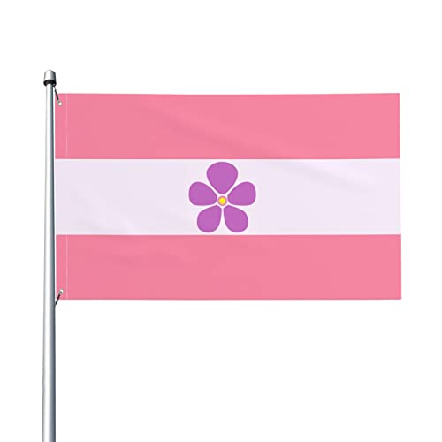 Sapphic Pride Flag LGBTQ Flag 3X5 Ft – UV-beständig – Garten Yard Flag Outdoor Flag mit Ösen von AOOEDM