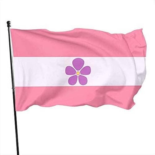 Sapphic Pride Flag Pink Themed 3x5 Ft Flag Single Sided Print Banner Welcome Party Outdoor Flag von AOOEDM