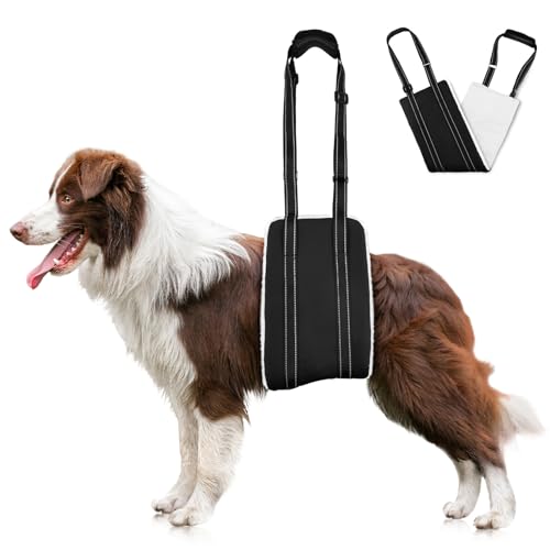 AOOHA Hunde Tragehilfe, Hund Hinten Lift Support Geschirr, Flauschig Weiches Material, Verstellbare Gehhilfe, Hundegeschirr für behinderte, verletzte oder ältere Hunde (L) von AOOHA