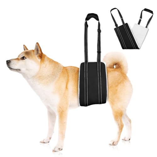 AOOHA Hunde Tragehilfe, Hund Hinten Lift Support Geschirr, Flauschig Weiches Material, Verstellbare Gehhilfe, Hundegeschirr für behinderte, verletzte oder ältere Hunde (M) von AOOHA