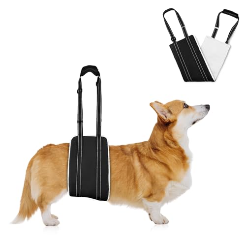 AOOHA Hunde Tragehilfe, Hund Hinten Lift Support Geschirr, Flauschig Weiches Material, Verstellbare Gehhilfe, Hundegeschirr für behinderte, verletzte oder ältere Hunde (S) von AOOHA