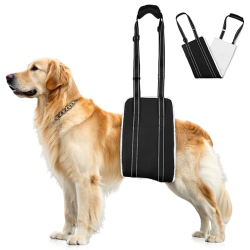 AOOHA Hunde Tragehilfe, Hund Hinten Lift Support Geschirr, Flauschig Weiches Material, Verstellbare Gehhilfe, Hundegeschirr für behinderte, verletzte oder ältere Hunde (XL) von AOOHA