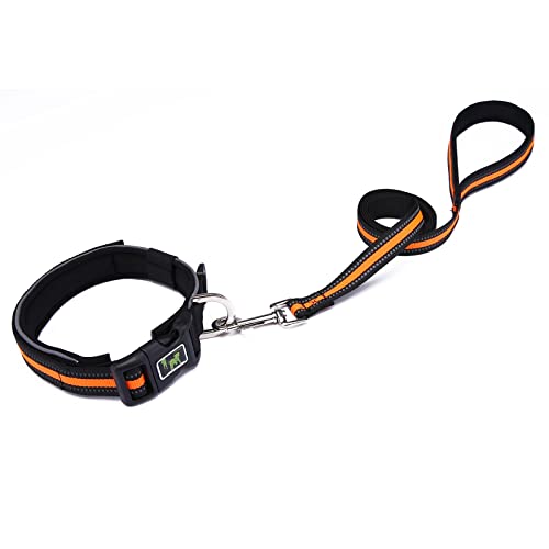 AOOOWER Haustierkatzen Hundehalsband Mit Reflektierendem Seil Verstellbar von AOOOWER