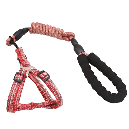 AOOOWER Hunde Leine Schlupfgürtel Leinegurt von AOOOWER