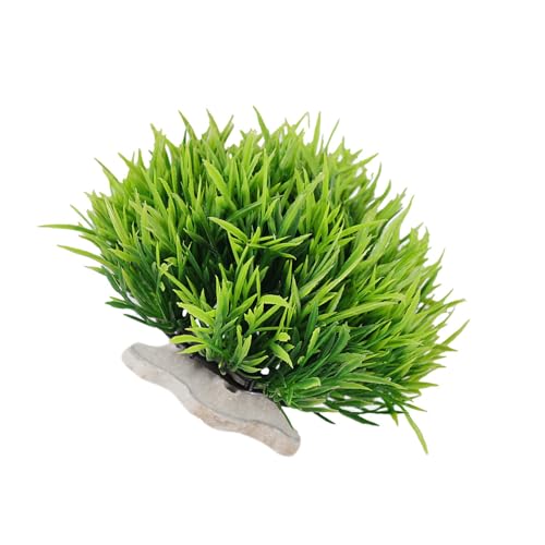 AOOOWER Realistische Kunstpflanze Aquarien Simulation Pflanze Wassergras Ornamente für Wohnzimmer oder Büro AOOOWER Realistische Kunstpflanze Aquarien Simulation Pflanze Wassergras Ornamente für Wohnzimmer oder Büro von AOOOWER