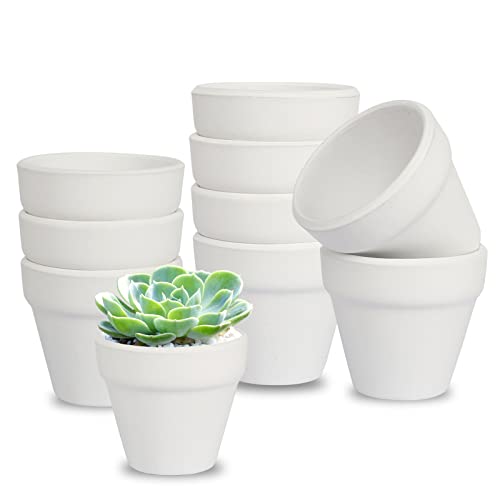 AOROPS Mini Blumentopf Weiß, 10 Stücke Tontöpfe 5cm Kleine Keramik Sukkulenten Töpfe, Terrakotta Kaktus Pflanze Töpfe für Drinnen und Draußen Dekorieren von AOROPS