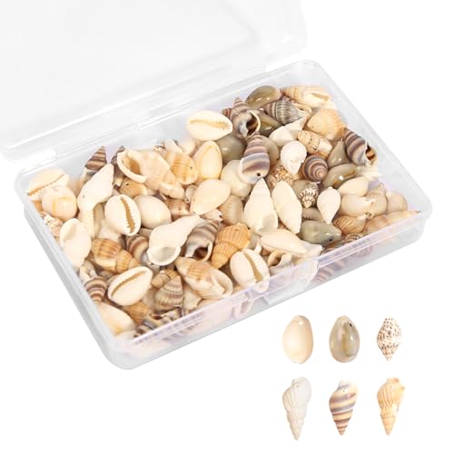Muscheln Deko, 120 Stück Gemischte Muscheln Deko mit Loch, 6 Stile Natürliche Muschel Perlen DIY Muscheln zum Basteln für Schmuck Machen Deco Handwerk 12-15mm Muscheln Deko, 120 Stück Gemischte Muscheln Deko mit Loch, 6 Stile Natürliche Muschel Perlen DIY Muscheln zum Basteln für Schmuck Machen Deco Handwerk 12-15mm von AOROPS