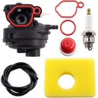Vergaser mit Luftfilter, Zündkerze für Briggs & Stratton 799583 591160 593261 591110 595656 591979 08P502 8P502 09P602 9P602 Rasenmähermotor 300E von AORSHER