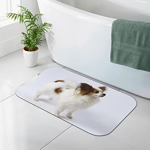 AORYGGS Kieselgur Matte mit weißem Papillon-Druck, Badezimmerteppich, rutschfeste Bodenmatte, Kieselgur Badematte, wasserabsorbierender Teppich von AORYGGS