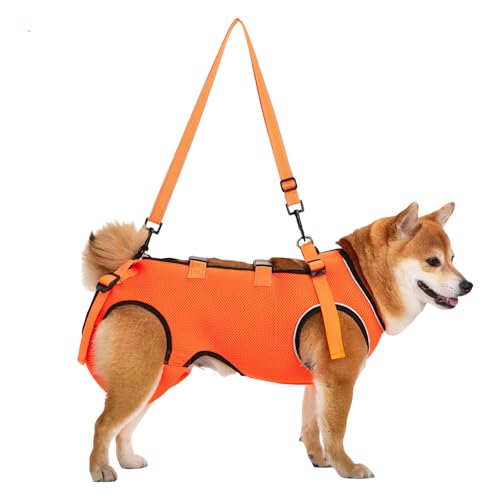 AOSAIXIS Reflektierende Hundekabelbaumleuchten Für Behindertes Haustier Mit Einstellbarer Bruststütze Und Polsterbehinderungsunterstützungsvorrichtung Einstellbarer Polsterkabelbaum AOSAIXIS Reflektierende Hundekabelbaumleuchten Für Behindertes Haustier Mit Einstellbarer Bruststütze Und Polsterbehinderungsunterstützungsvorrichtung Einstellbarer Polsterkabelbaum von AOSAIXIS