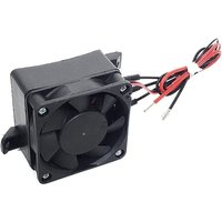 100 w 12 v dc Heizung Thermostat Fan Ei Inkubator Heizung ptc Heizlüfter Heizelemente Elektrische Heizung von AOUGO