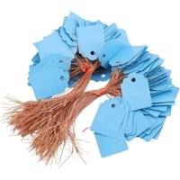Aougo - Blumenanhänger zum Aufhängen – 200 Stück PVC-Hängeblume, Pflanzensamen, Namensschild, Markierungsschild für den Außenbereich (blau) von AOUGO