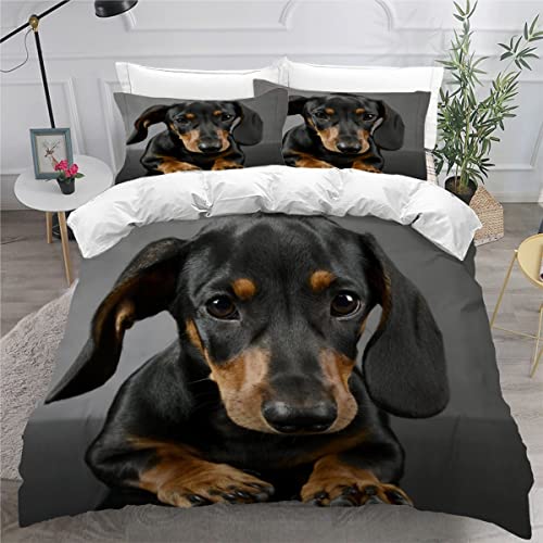 AOYNP Bettwäsche 135x200 Dackel Bettbezug Set 3 teilig Weich Microfaser Bettwaren Süß Tier Hund Bettwäsche-Set für Kinder Teenager ReißVerschluss Bettbezug Mit 2 Kissenbezug 80x80cm von AOYNP